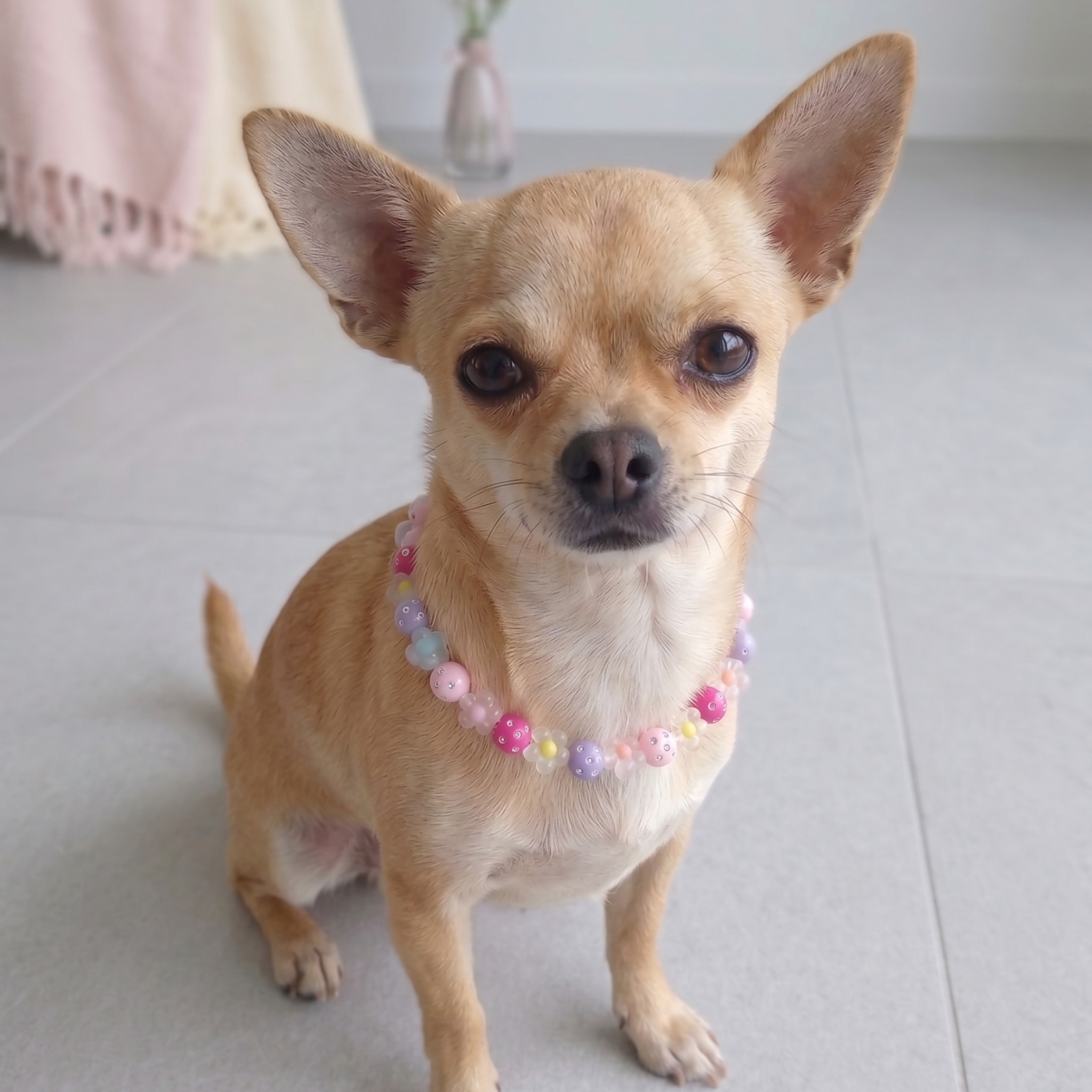 Collana Fashion per Cani in Materiale Tecnico